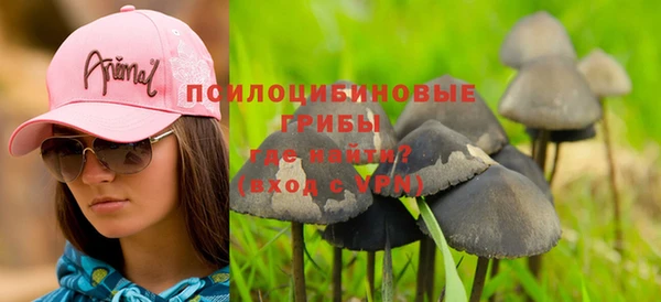 прущие грибы Баксан