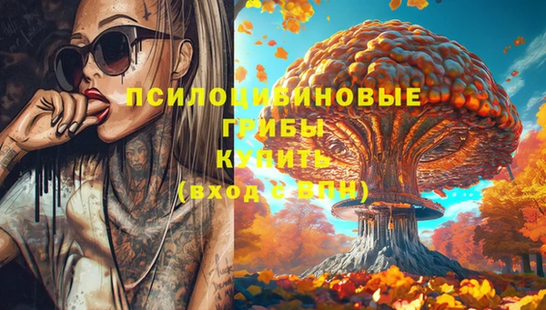 амф Арсеньев