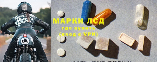 прущие грибы Баксан