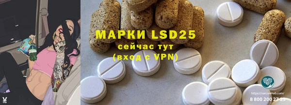 прущие грибы Баксан